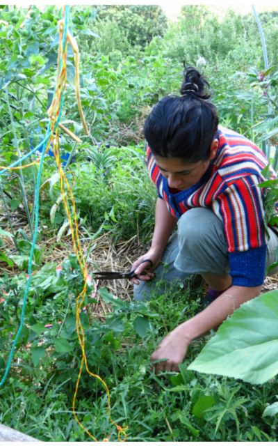 Elise dans le potager en permaculture